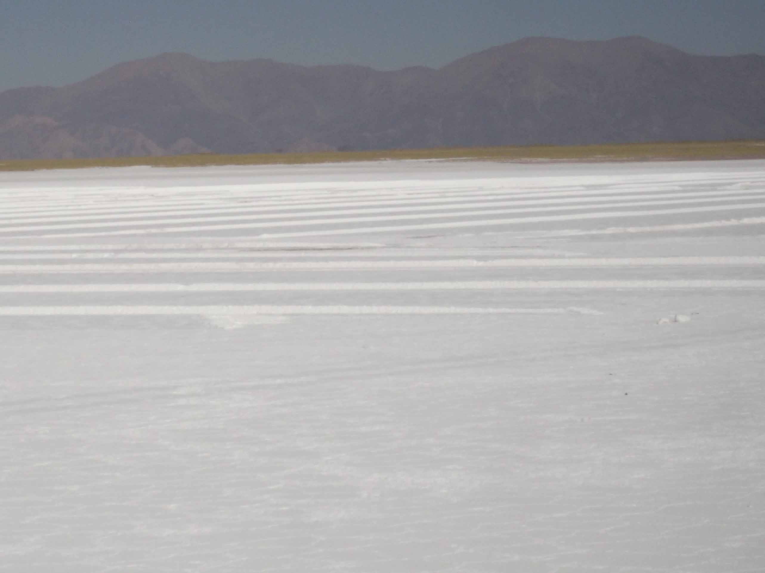 Salar